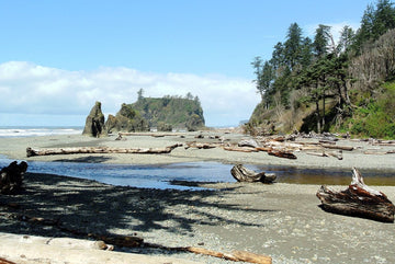 Olympic National Park with 99 Percent Handmade Camping Backpack For Camping - 99percenthandmade