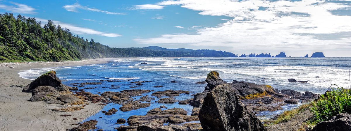 Olympic National Park with Hiking Backpacks for Hiking - 99percenthandmade